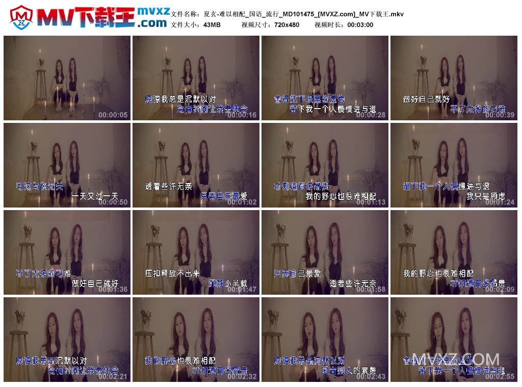 夏玄-难以相配_国语_流行_MD101475